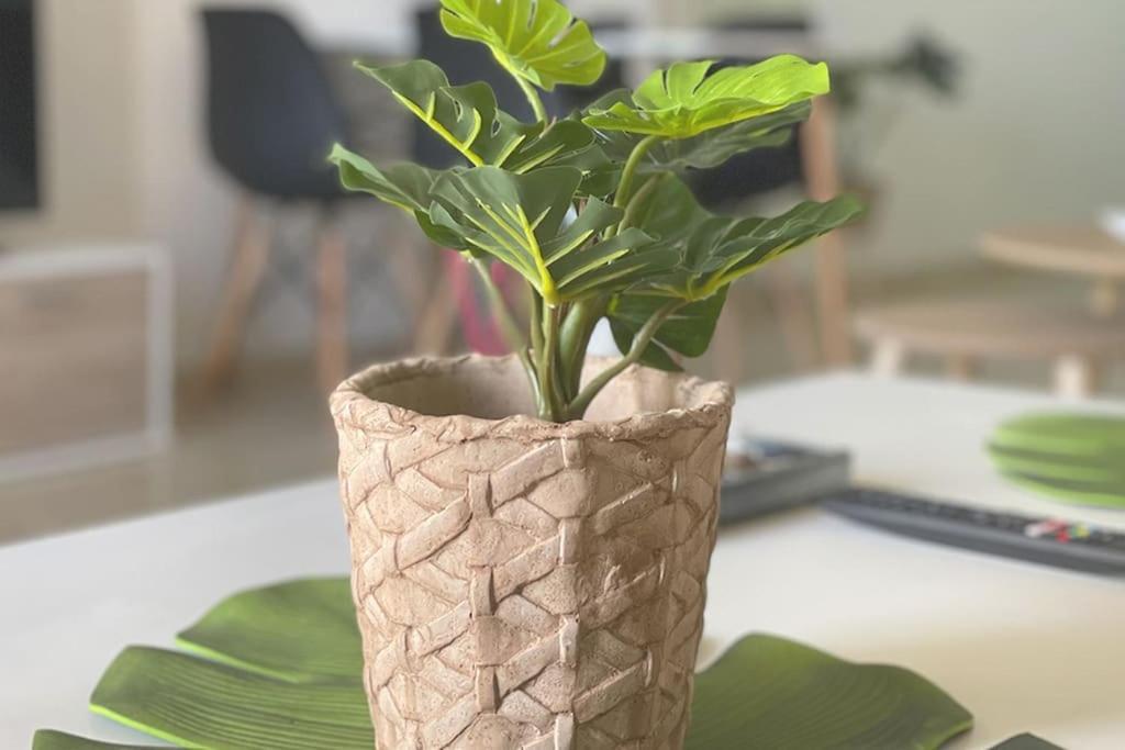 Ocean Deluxe Palm-Mar Apartman Kültér fotó